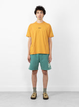 Stussy Stussy Intl Short Teal At Couverture & The Garbstore Model Shot