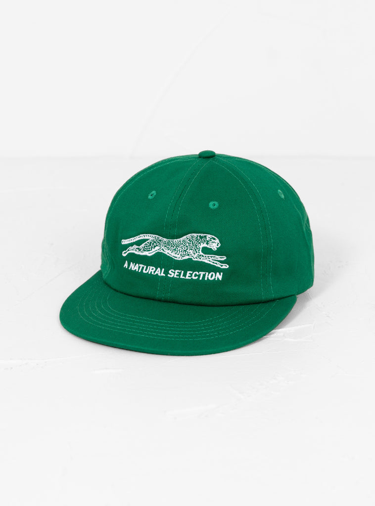 Natural Selection Cap Kelly Green and White by Brother Brother at Couverture and The Garbstore